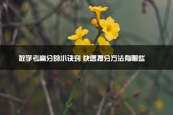 数学考高分的小诀窍 快速提分方法有哪些