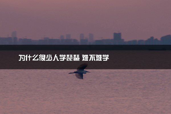 为什么很少人学琵琶 难不难学