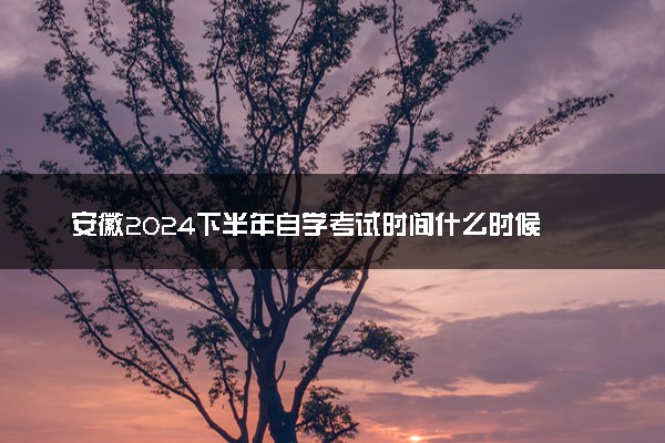 安徽2024下半年自学考试时间什么时候 几号开考