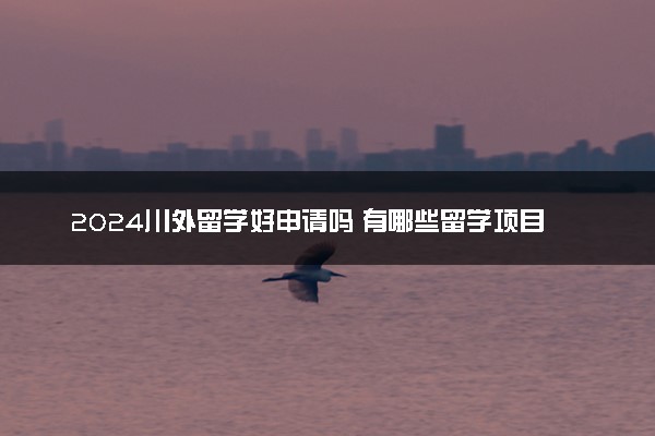2024川外留学好申请吗 有哪些留学项目