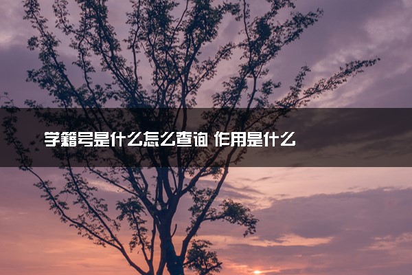 学籍号是什么怎么查询 作用是什么
