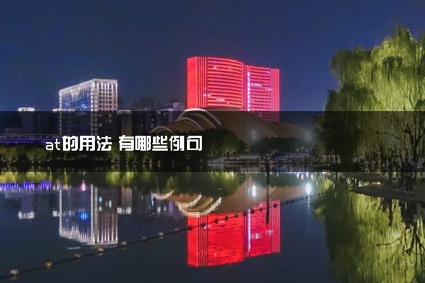 at的用法 有哪些例句