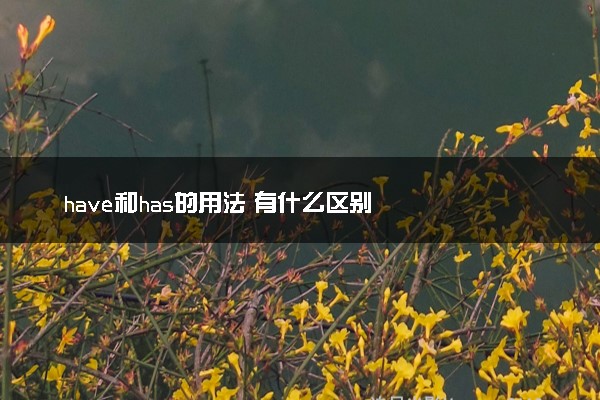 have和has的用法 有什么区别