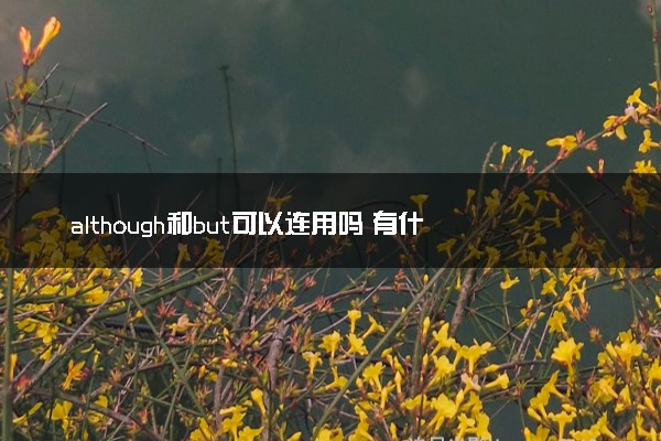 although和but可以连用吗 有什么区别
