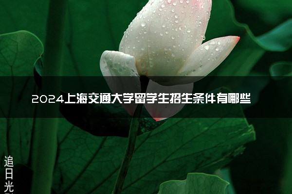 2024上海交通大学留学生招生条件有哪些 需要面试吗