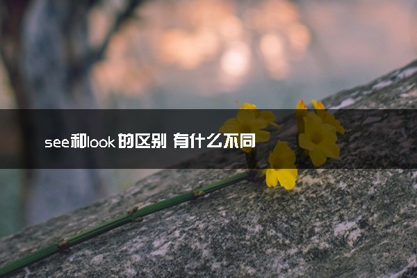 see和look的区别 有什么不同