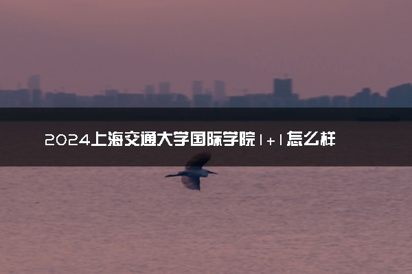 2024上海交通大学国际学院1+1怎么样 值得读吗