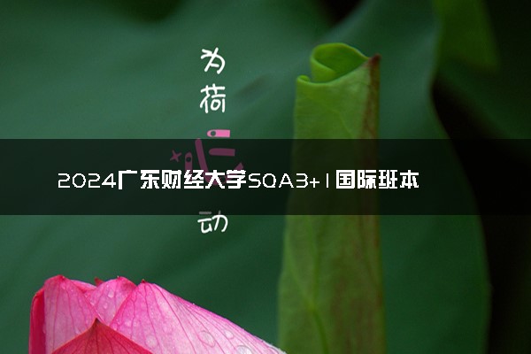 2024广东财经大学SQA3+1国际班本科专业