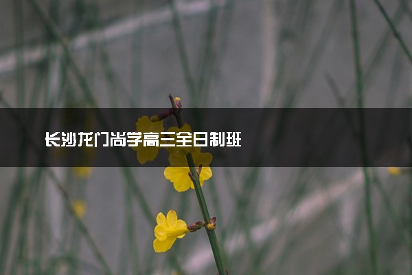 长沙龙门尚学高三全日制班