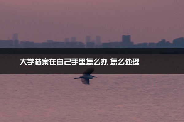 大学档案在自己手里怎么办 怎么处理