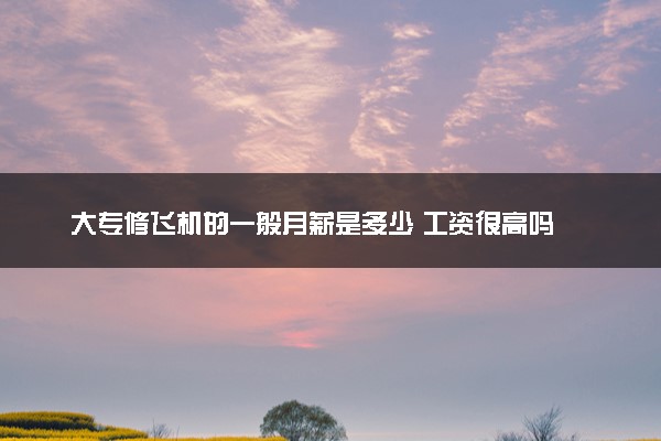 大专修飞机的一般月薪是多少 工资很高吗