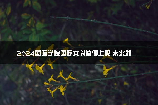 2024国际学院国际本科值得上吗 未来就业前景咋样