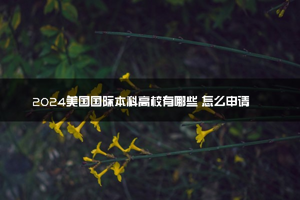 2024美国国际本科高校有哪些 怎么申请