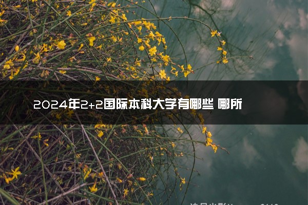 2024年2+2国际本科大学有哪些 哪所学校最好