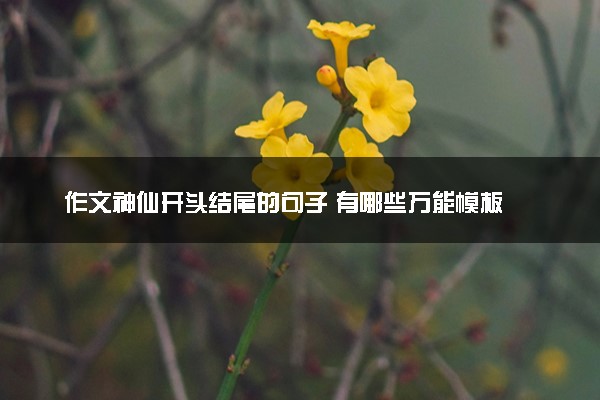 作文神仙开头结尾的句子 有哪些万能模板