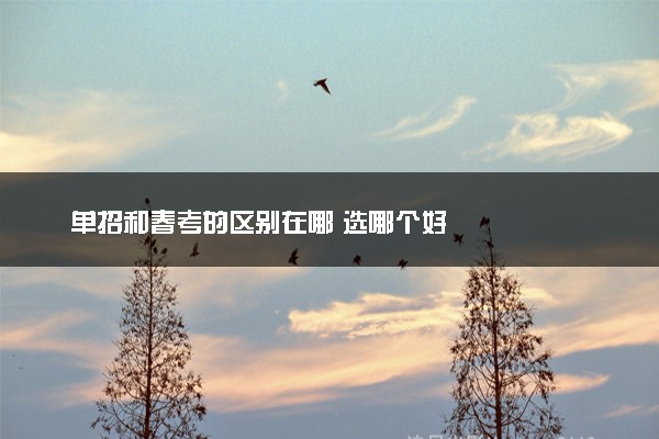 单招和春考的区别在哪 选哪个好