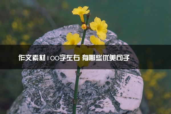 作文素材100字左右 有哪些优美句子
