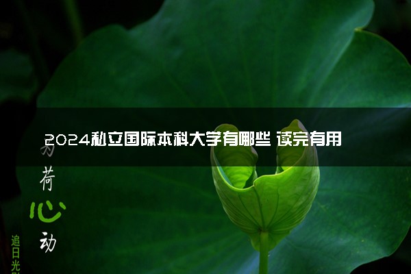 2024私立国际本科大学有哪些 读完有用吗
