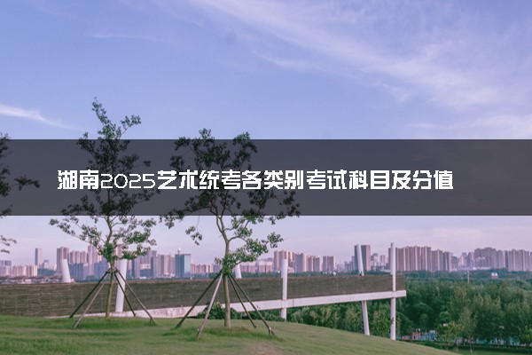 湖南2025艺术统考各类别考试科目及分值 考试内容是什么