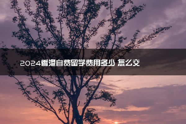 2024香港自费留学费用多少 怎么交