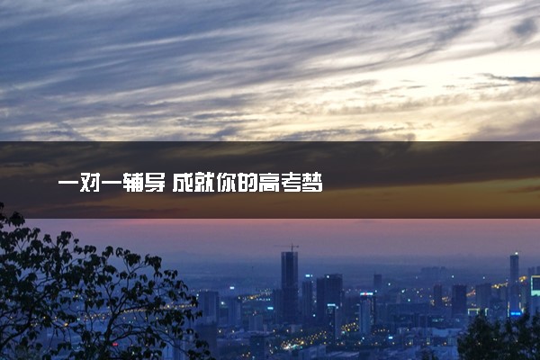 一对一辅导 成就你的高考梦