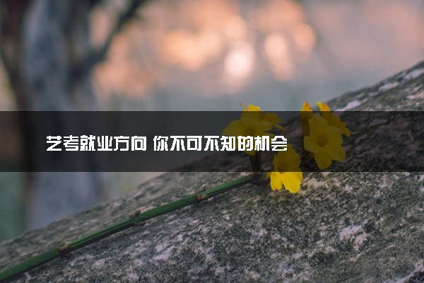 艺考就业方向 你不可不知的机会