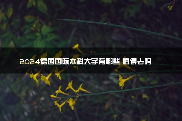 2024德国国际本科大学有哪些 值得去吗