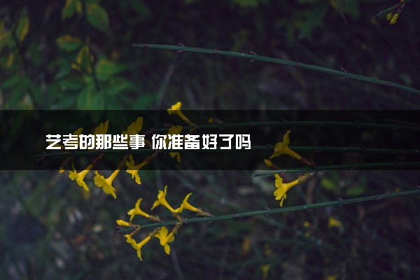 艺考的那些事 你准备好了吗