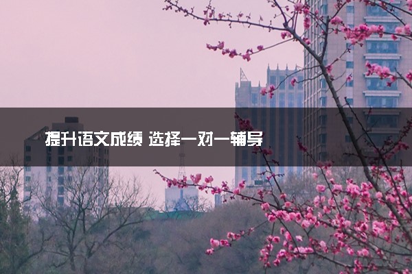 提升语文成绩 选择一对一辅导