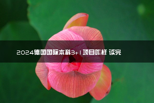 2024德国国际本科3+1项目咋样 读完有什么用