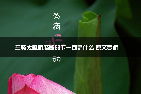 牢骚太盛防肠断的下一句是什么 原文赏析