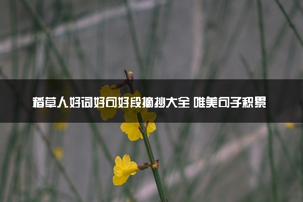 稻草人好词好句好段摘抄大全 唯美句子积累
