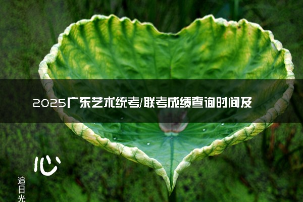 2025广东艺术统考/联考成绩查询时间及入口 具体查询步骤