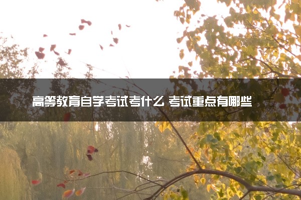 高等教育自学考试考什么 考试重点有哪些