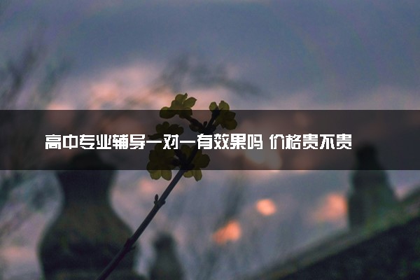 高中专业辅导一对一有效果吗 价格贵不贵