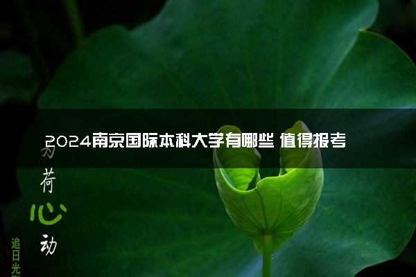 2024南京国际本科大学有哪些 值得报考吗