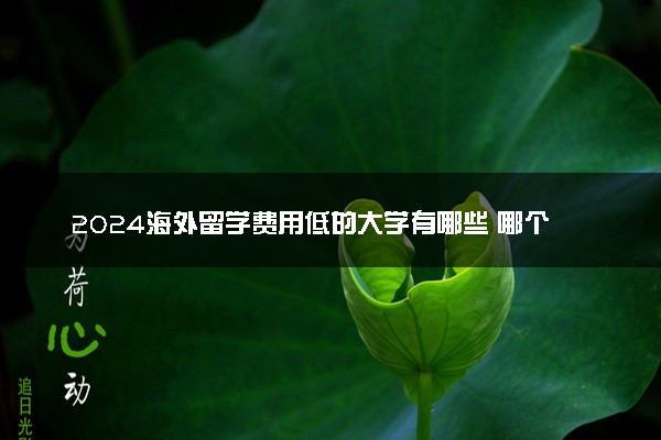 2024海外留学费用低的大学有哪些 哪个国家便宜
