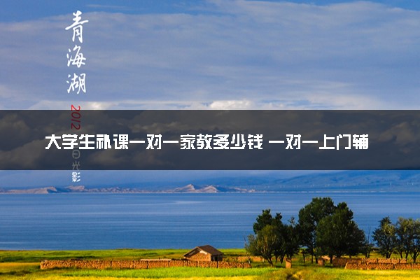 大学生补课一对一家教多少钱 一对一上门辅导怎么样