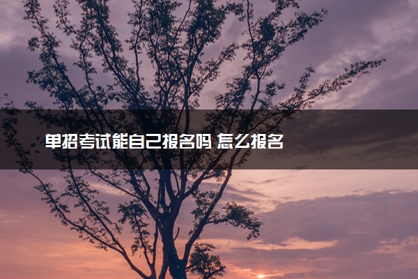 单招考试能自己报名吗 怎么报名