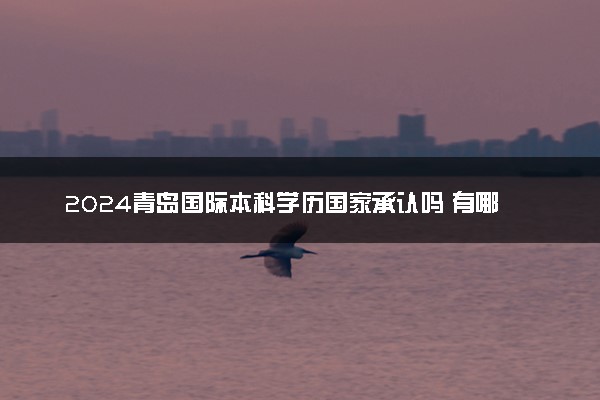 2024青岛国际本科学历国家承认吗 有哪些院校