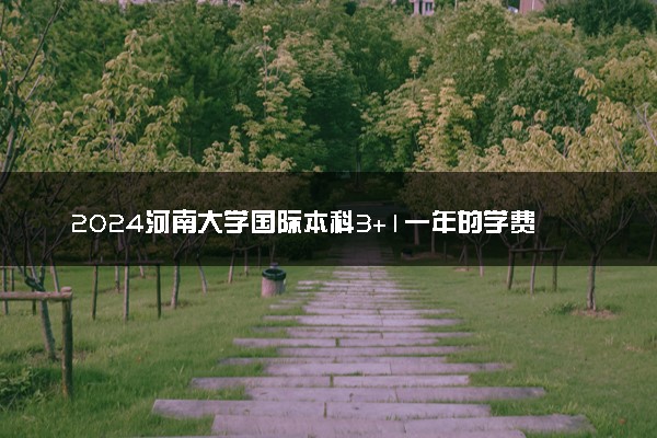 2024河南大学国际本科3+1一年的学费 大概要花多少钱