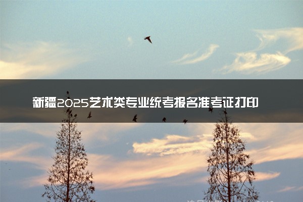 新疆2025艺术类专业统考报名准考证打印时间 怎么打印