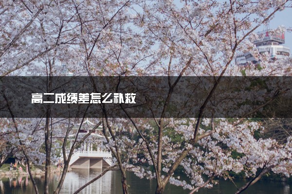 高二成绩差怎么补救