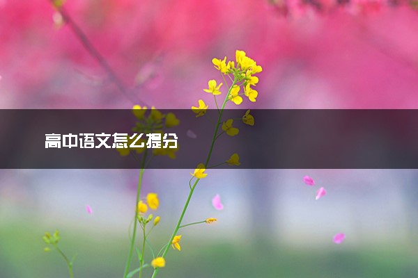高中语文怎么提分