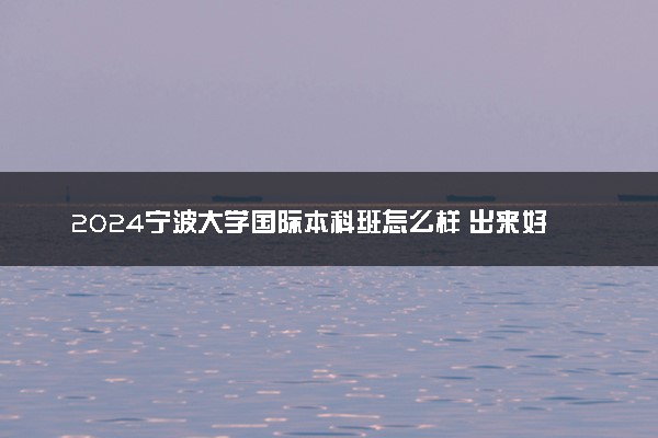 2024宁波大学国际本科班怎么样 出来好就业吗