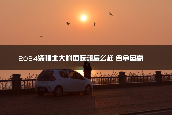 2024深圳北大附国际部怎么样 含金量高吗