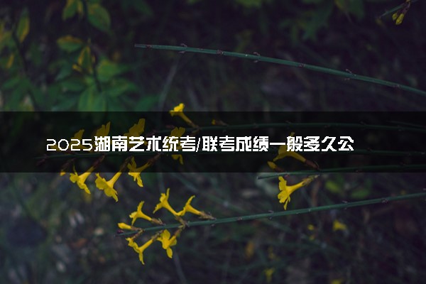 2025湖南艺术统考/联考成绩一般多久公布 哪天查分