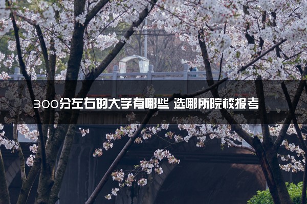 300分左右的大学有哪些 选哪所院校报考好