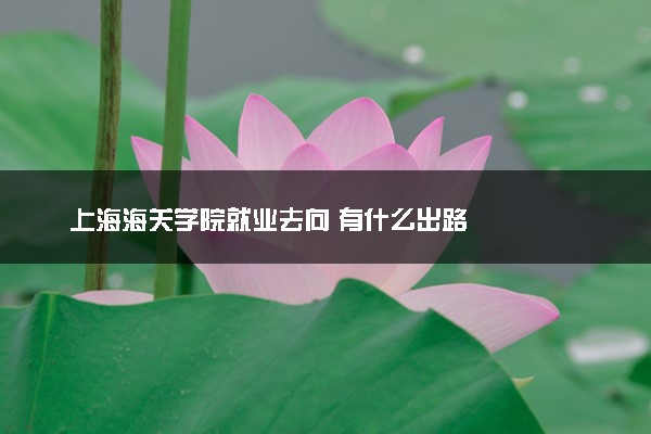上海海关学院就业去向 有什么出路
