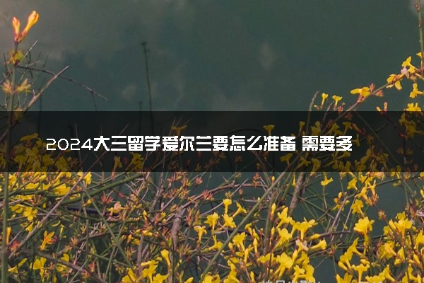 2024大三留学爱尔兰要怎么准备 需要多少费用